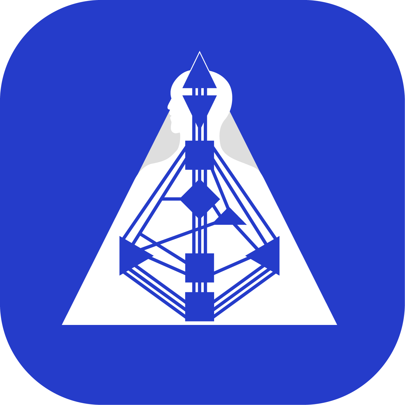 Maia Mechanics Imaging (MMI/BG5) - Image 7